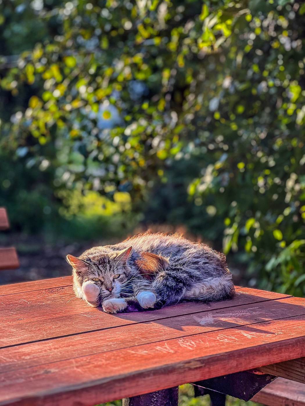 Созерцатель городской суеты