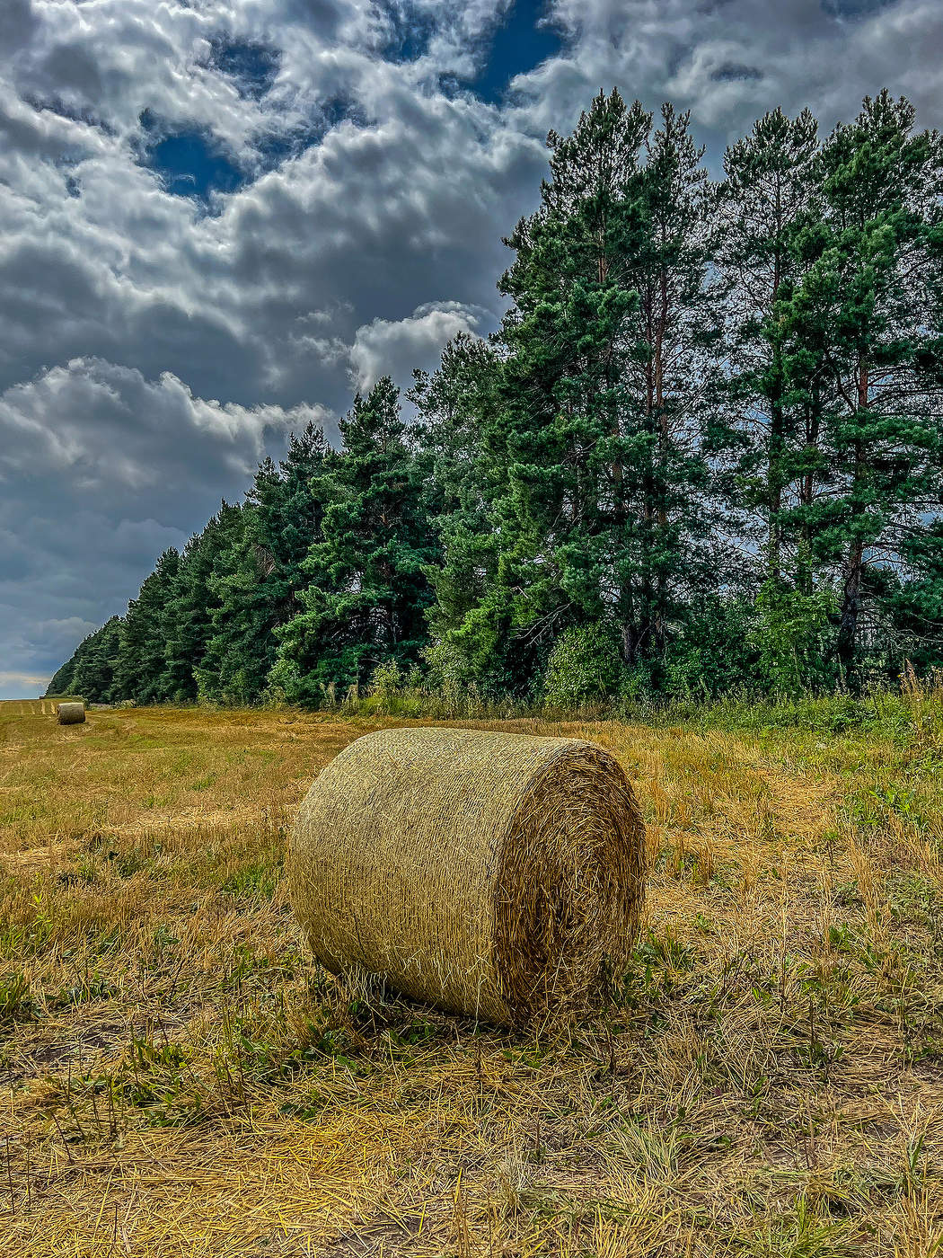 Соломенный тюк