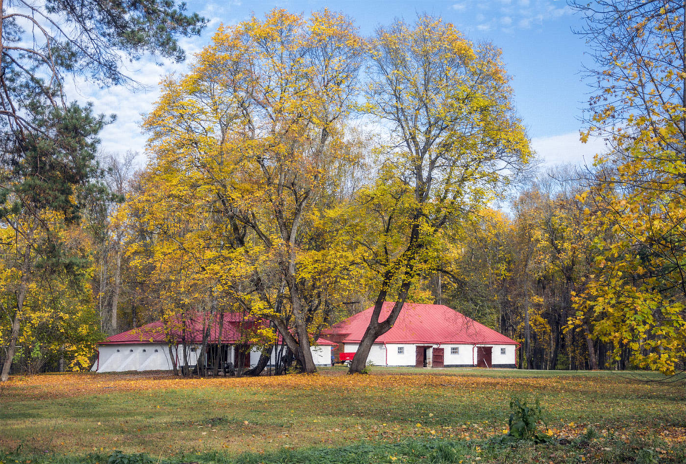 Осенняя зарисовка