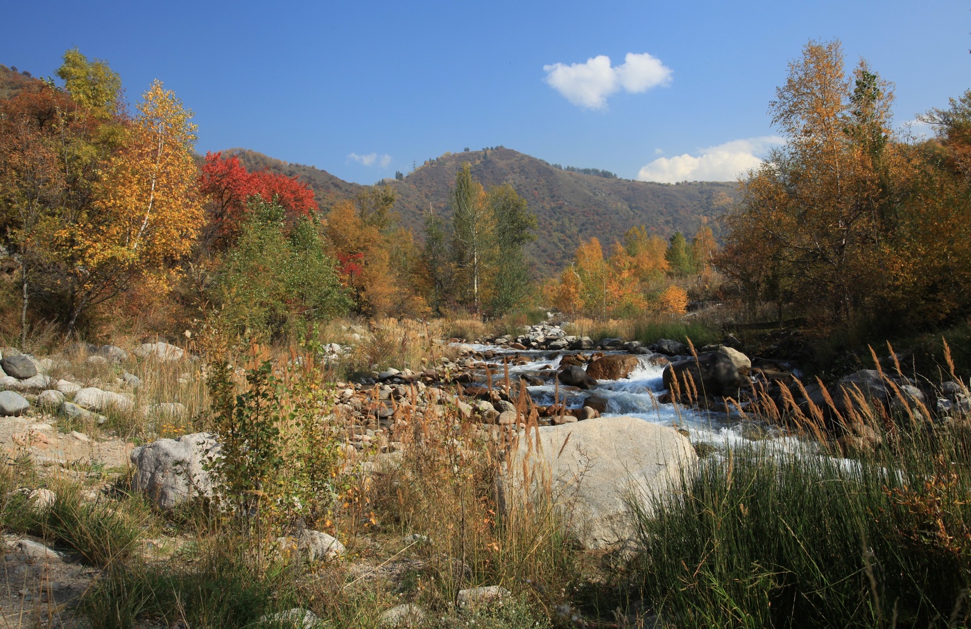 Мимо проходил