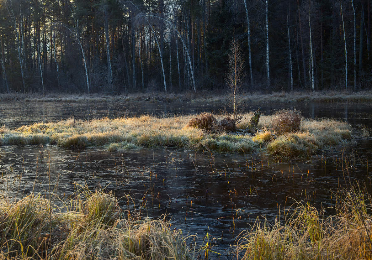 Утренний морозец