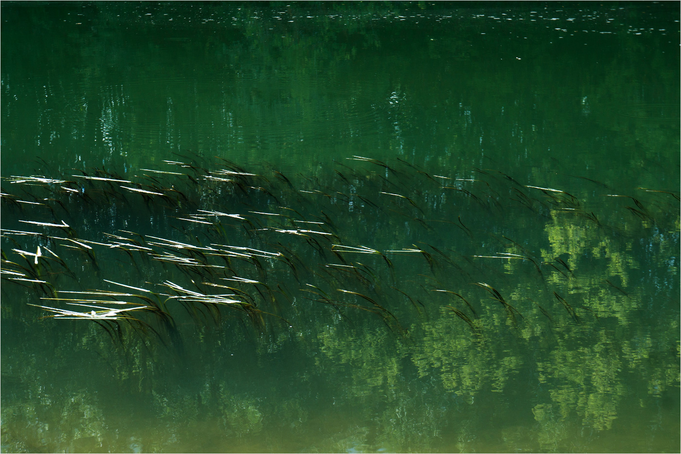 м о р с к а я