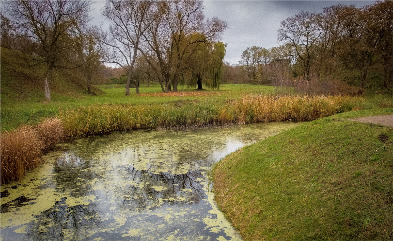 Затянулась бурой тиной