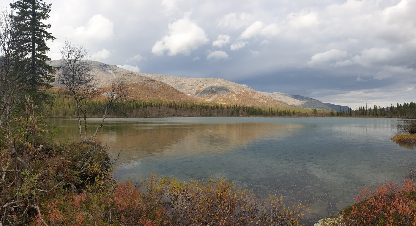 Шлейф Осени