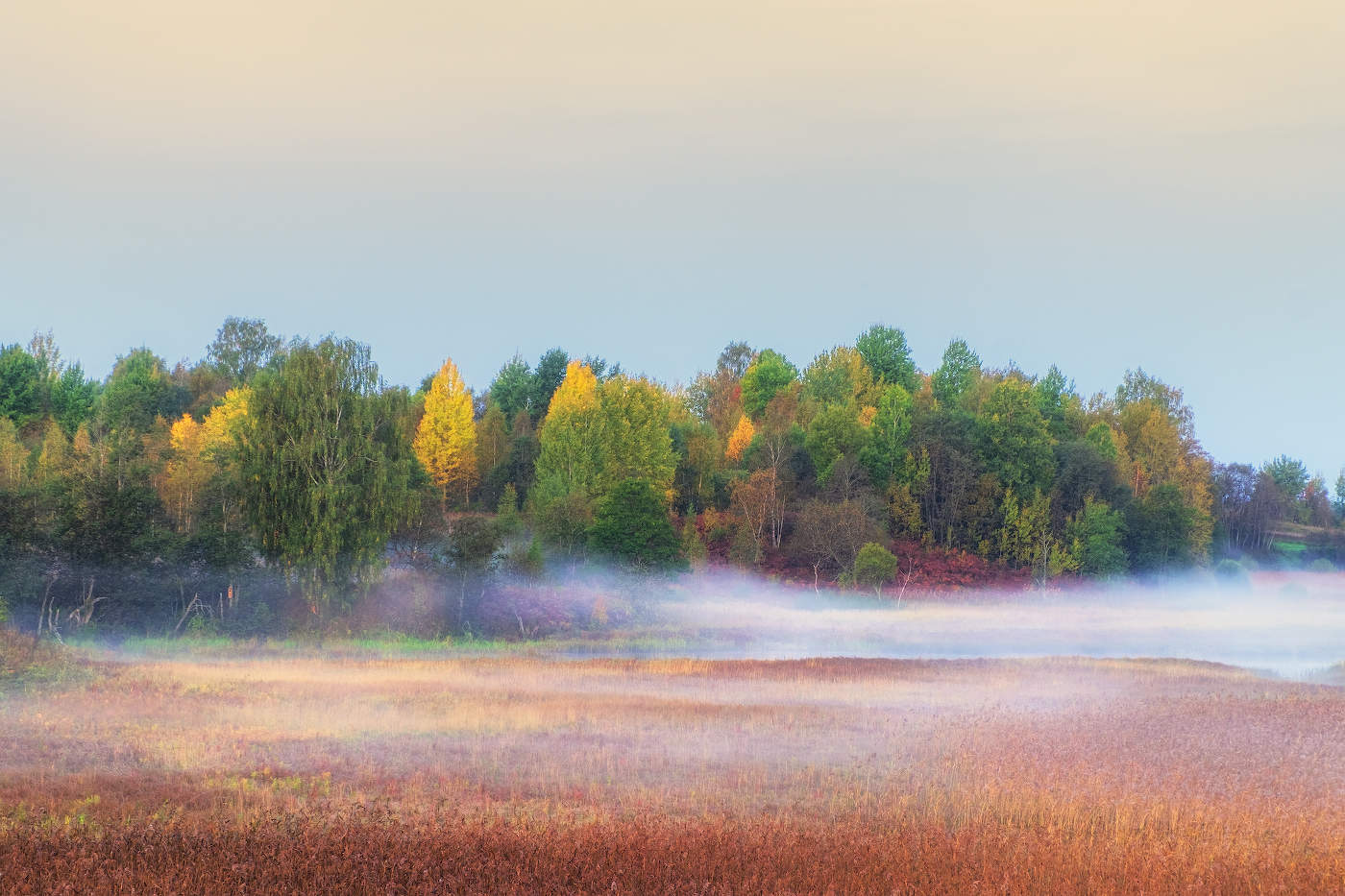 Цветная осень