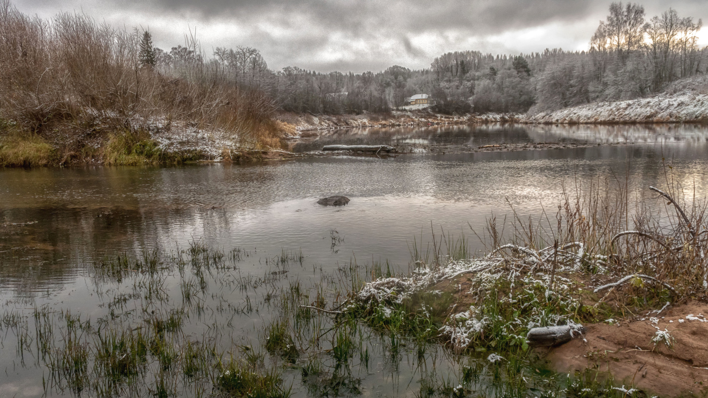 Жизнь вокруг