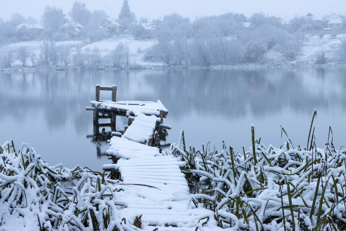 "А снег не знал и падал"...