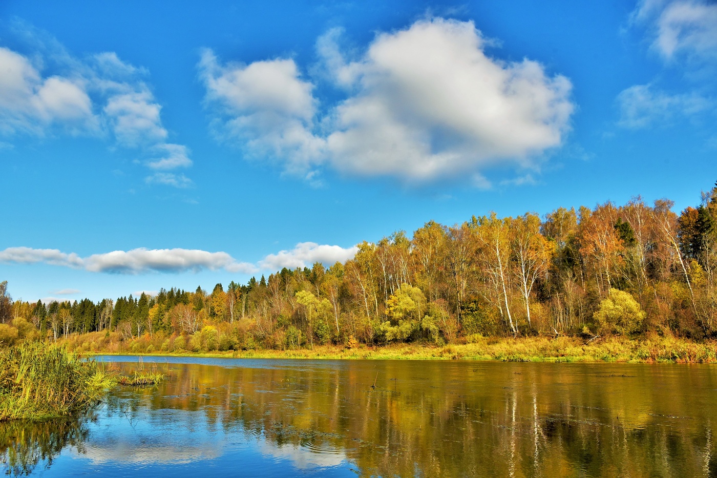 "Сколько раз осень нас удивляла, позолотой прельщая дерев ..."