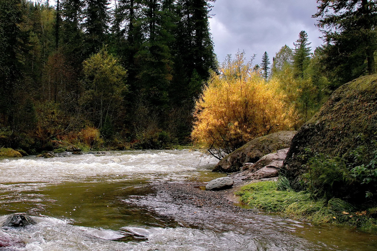 *Осенним днём.**