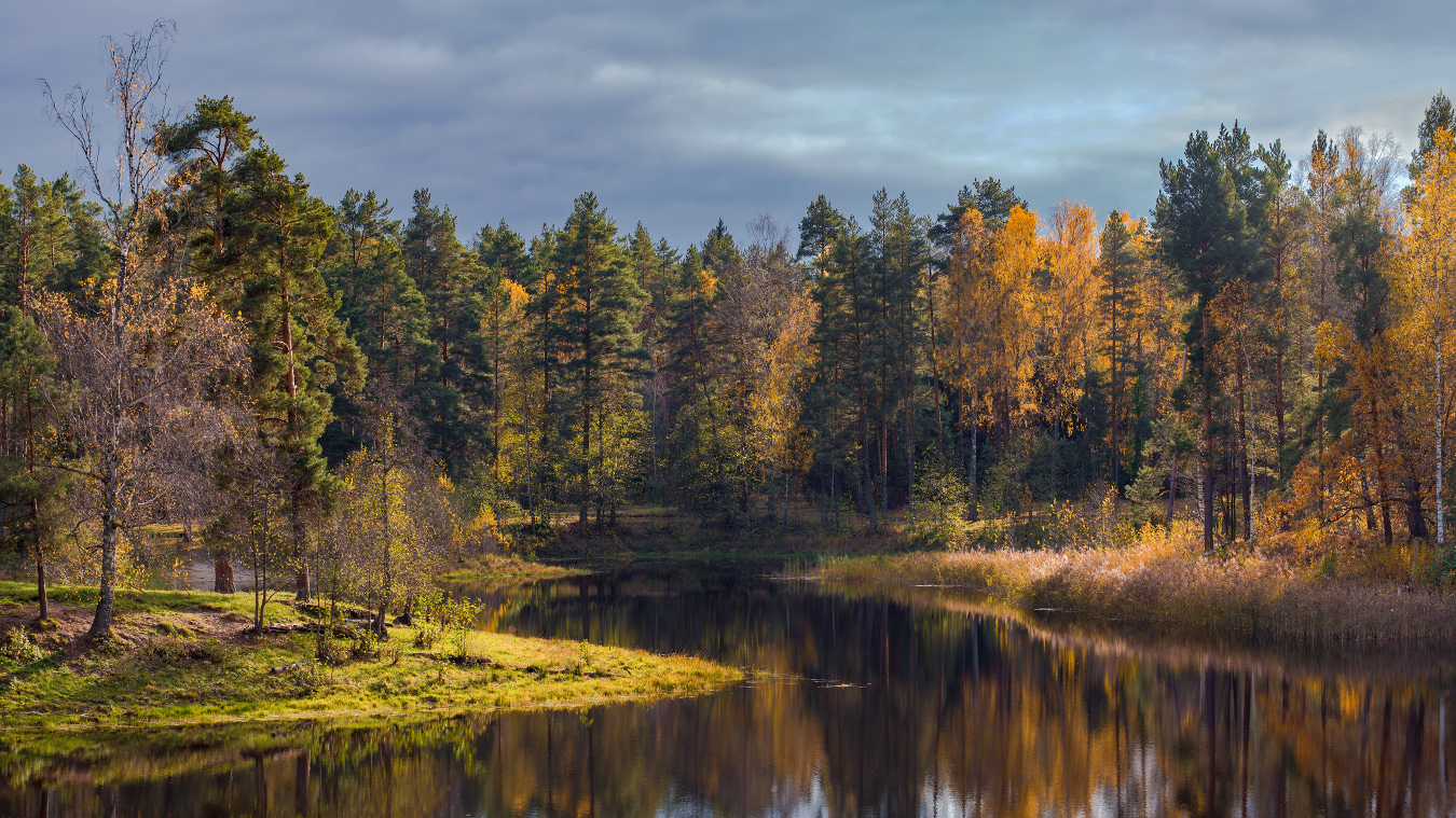 Октябрь. Саврасово