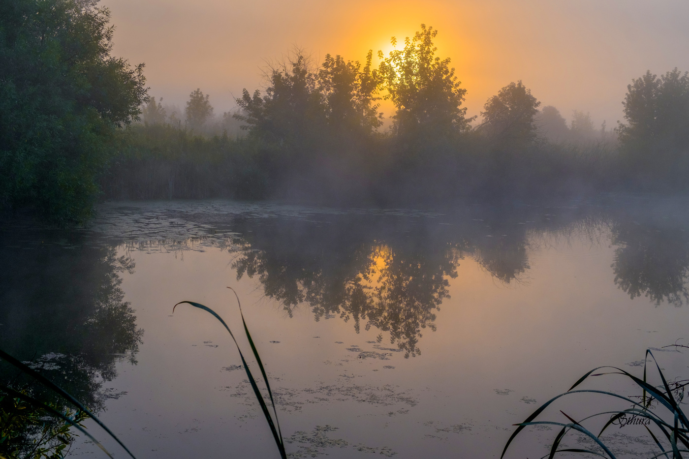 Летнее утро.