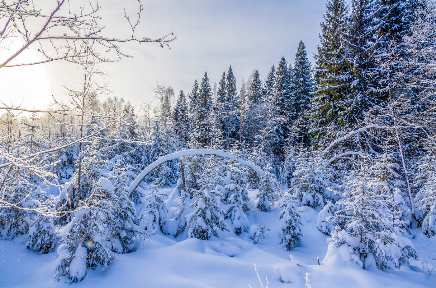 Зима в Новгородской области.