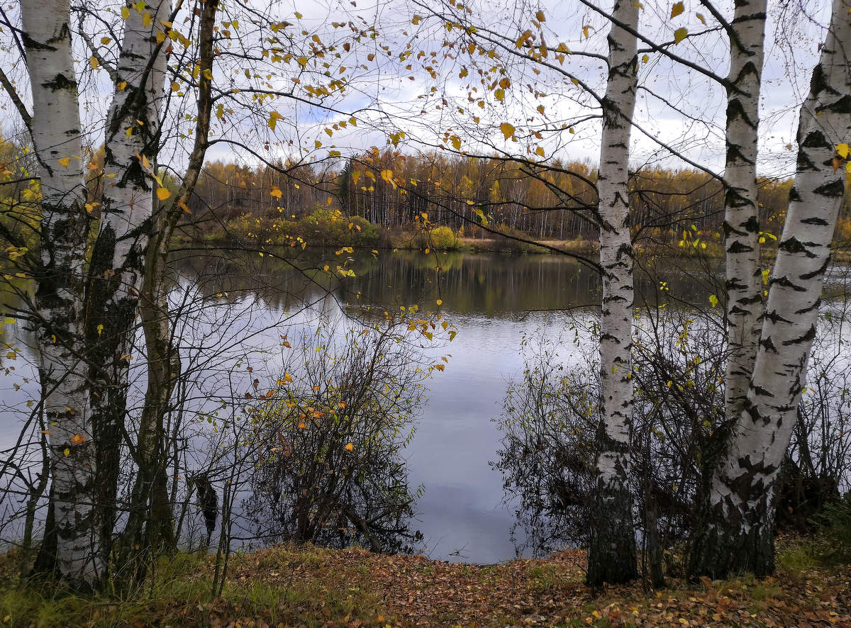 Осенний пруд.