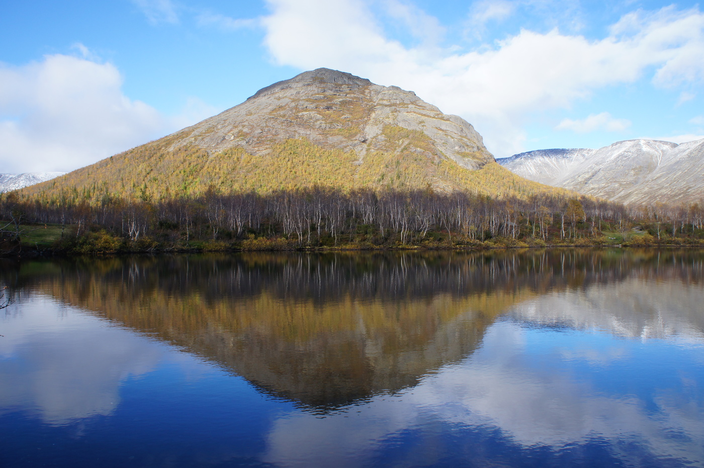 Ответная улыбка
