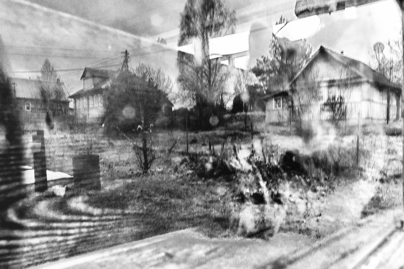 Жизнь вокруг