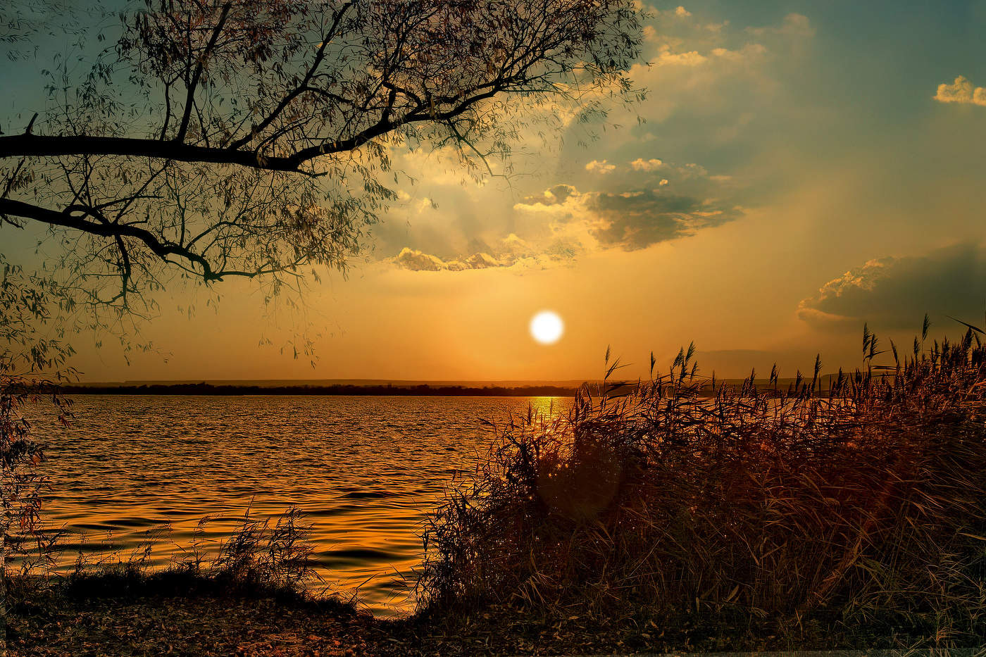 А камыша стена вокруг стояла, как озера хранящая покой.