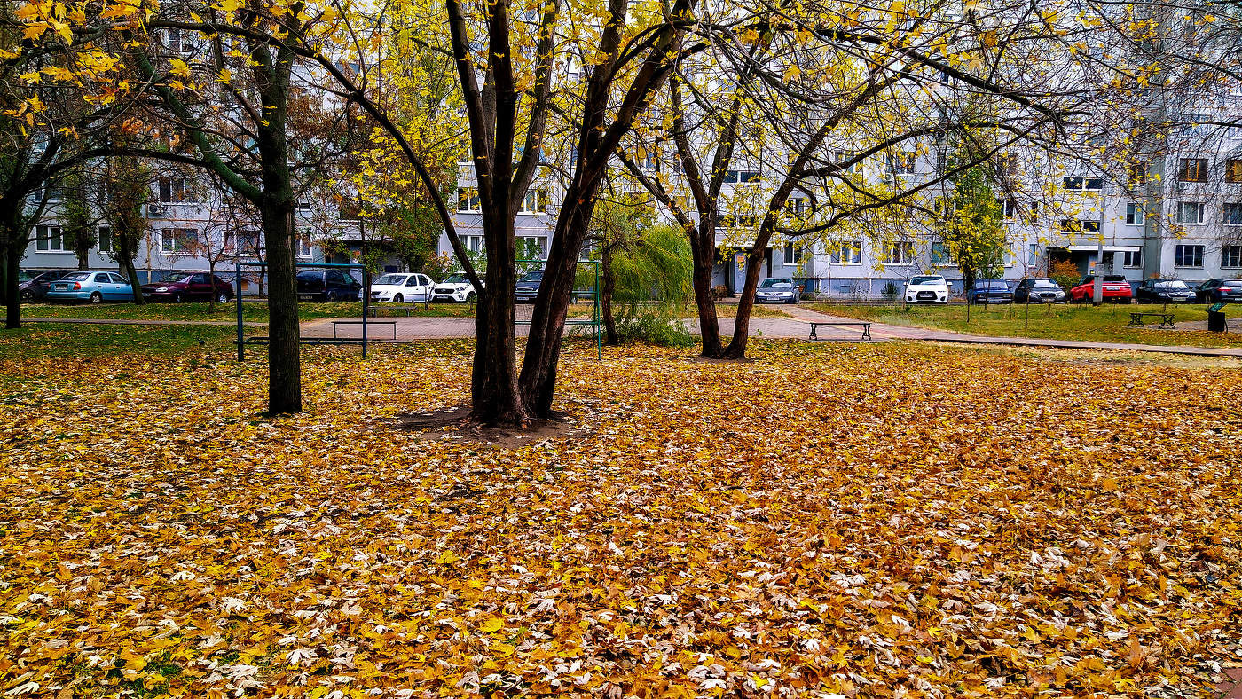 Опадают листья, опадают…снова осень входит в города.
