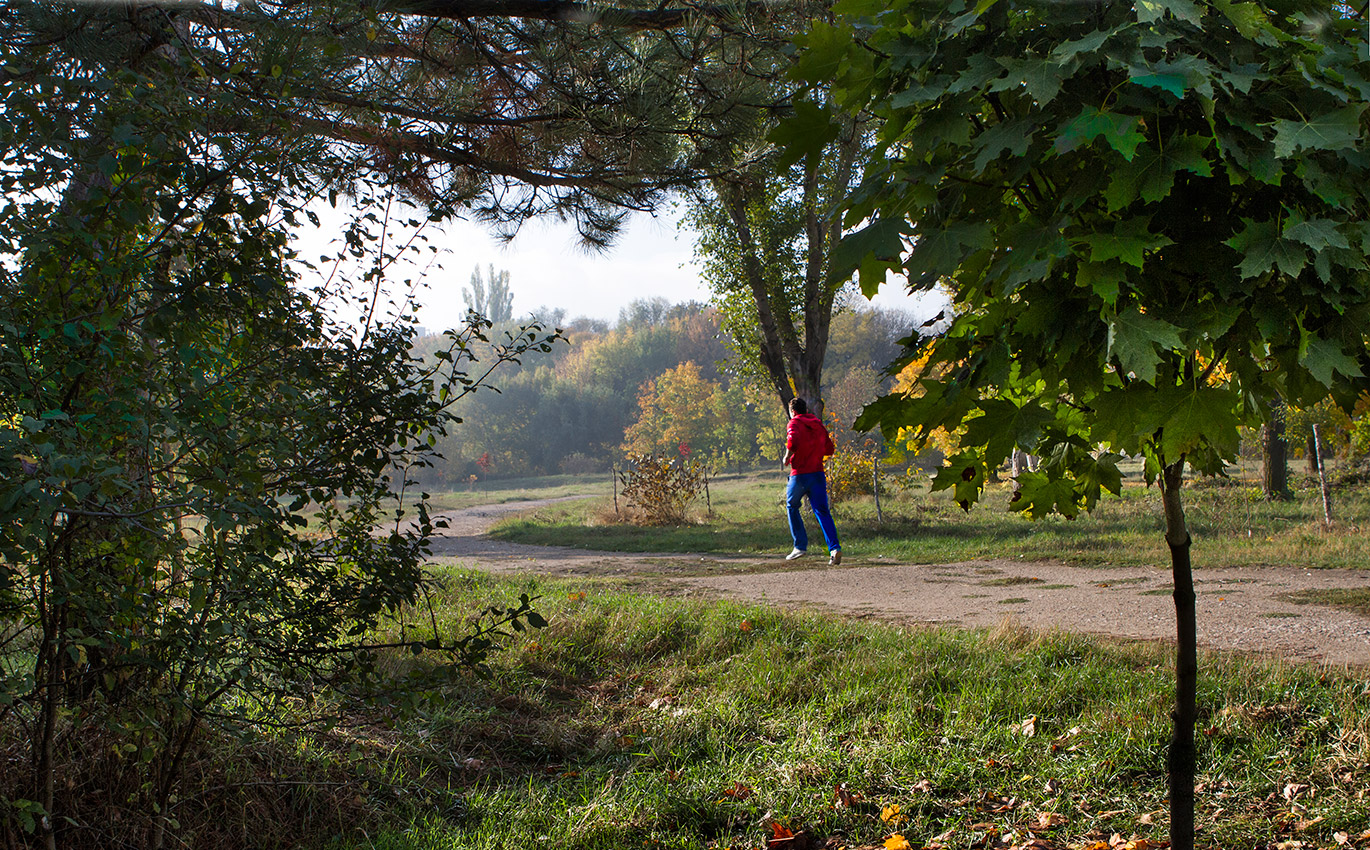 Кто рано встаёт...
