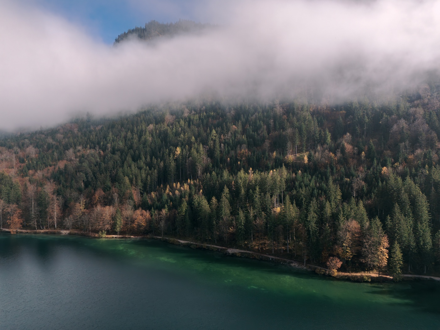 Под пеленой тумана