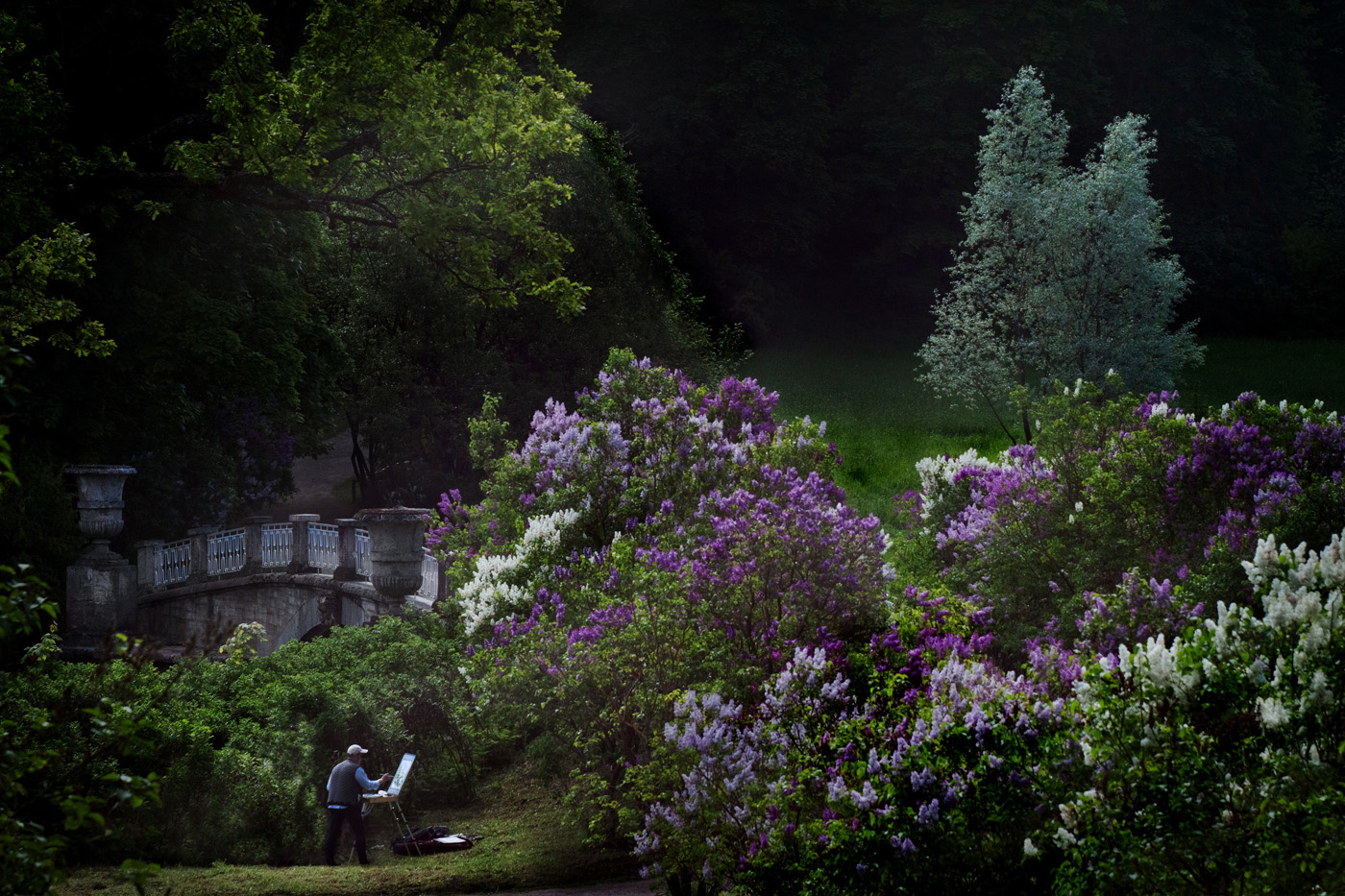 Сиреневый Павловск 4