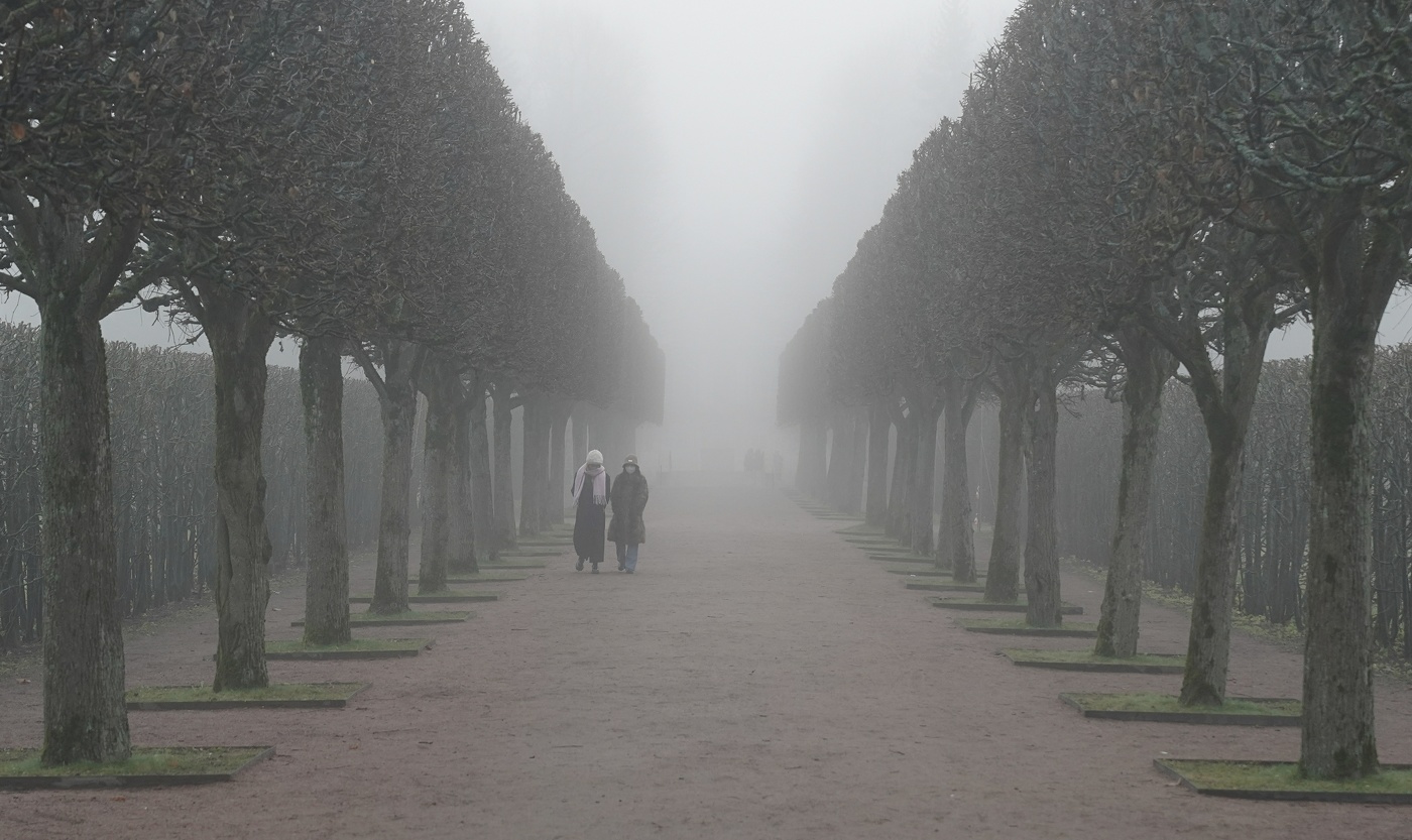 Утро в ноябре