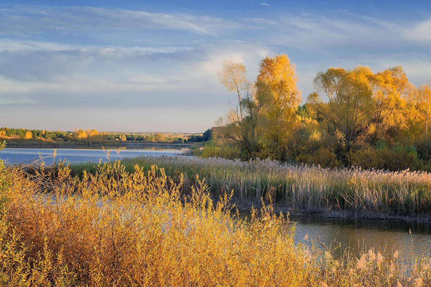 Осенняя пора...