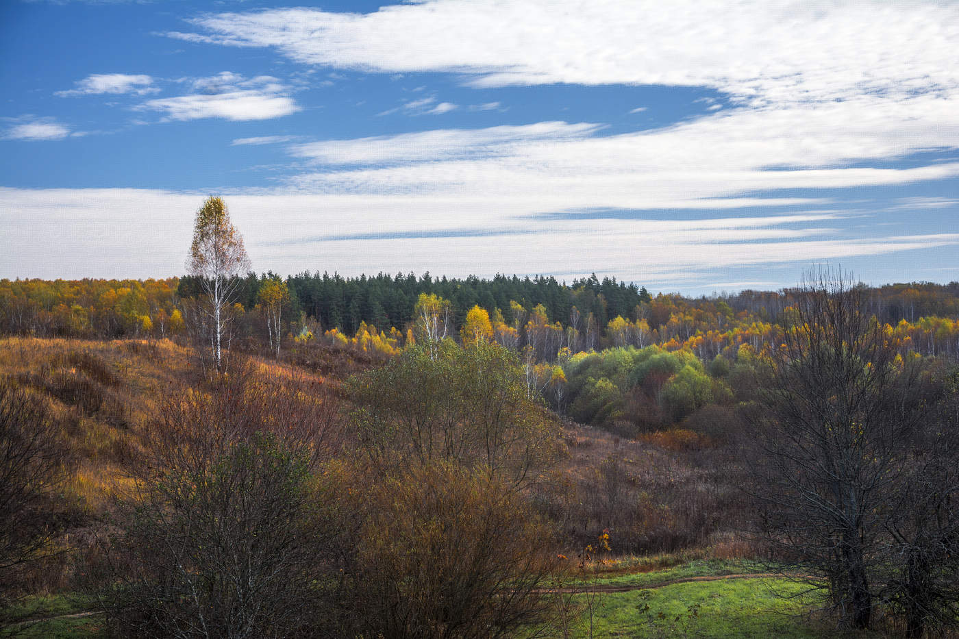 Осень- рыжая подружка