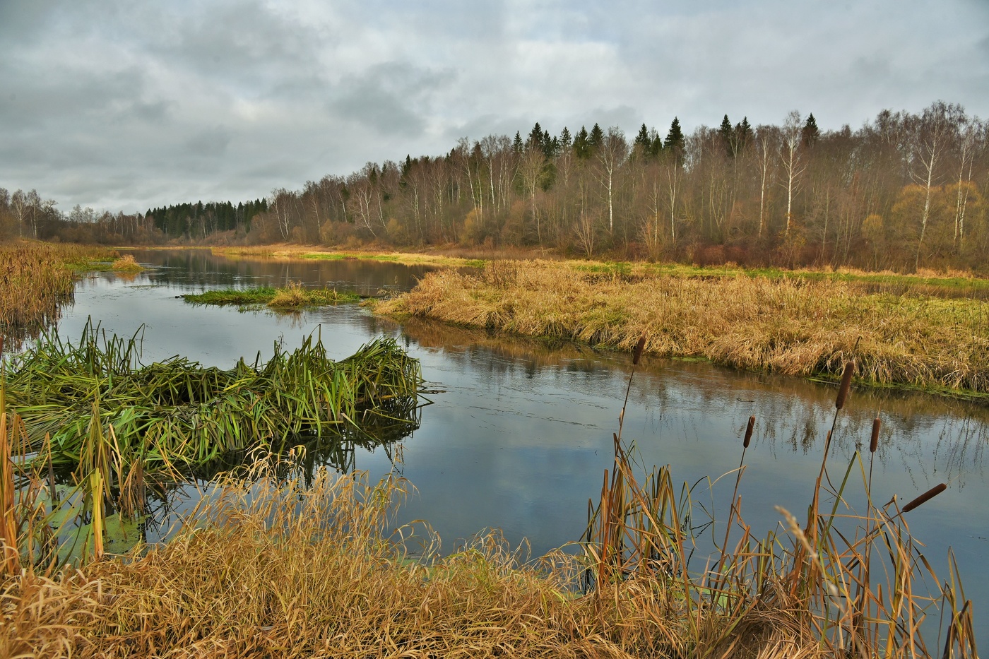 "День непогожий, день тоскливый ..."