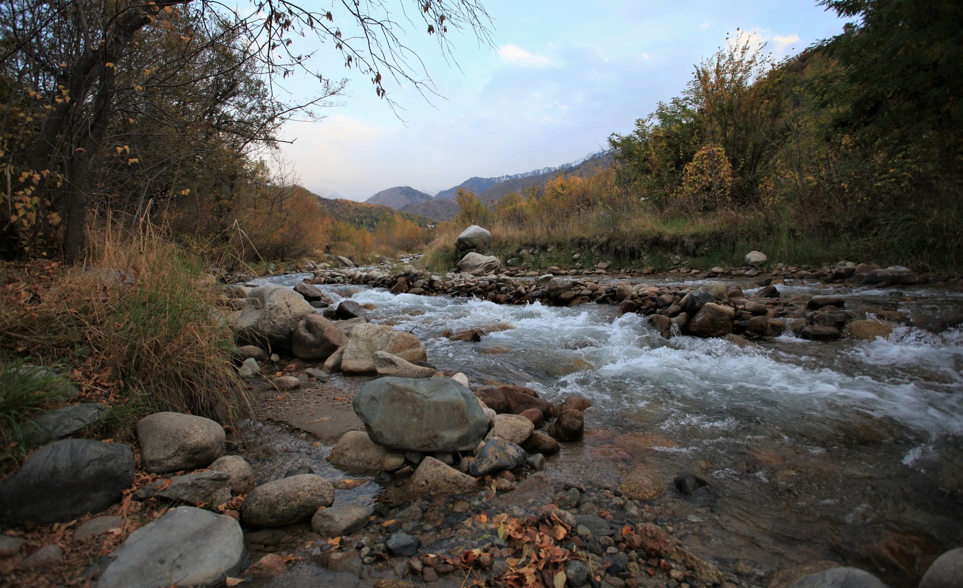 Осенний вечер