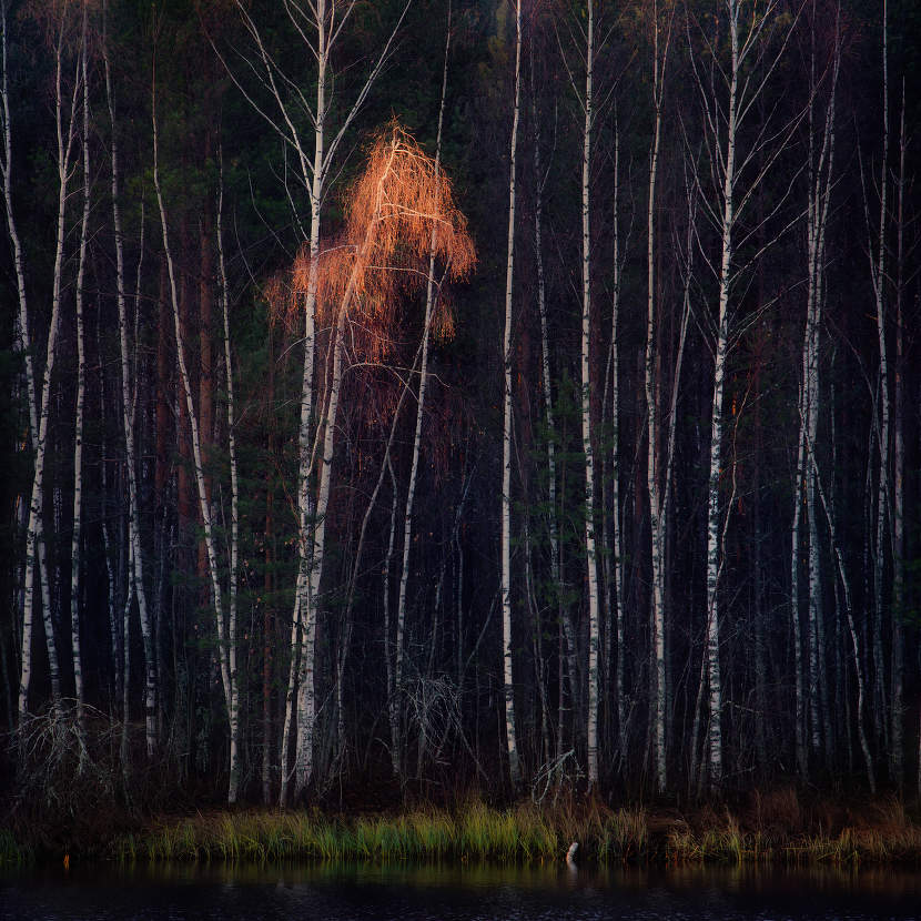 Пригрезилось