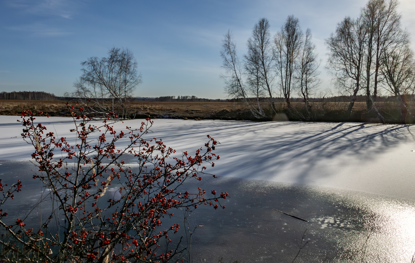 Ягода осени