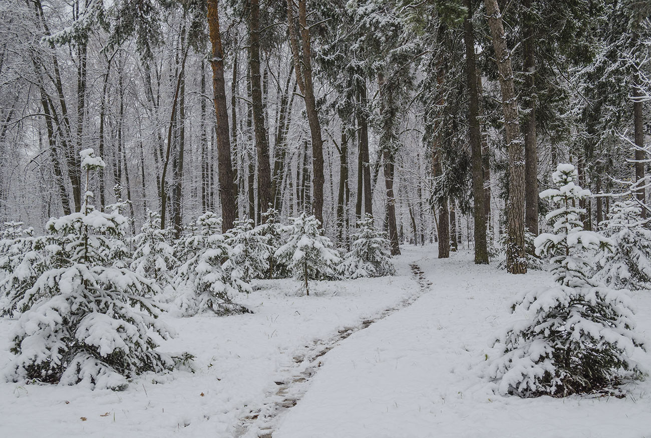 Дремлет старый парк, ждёт весну