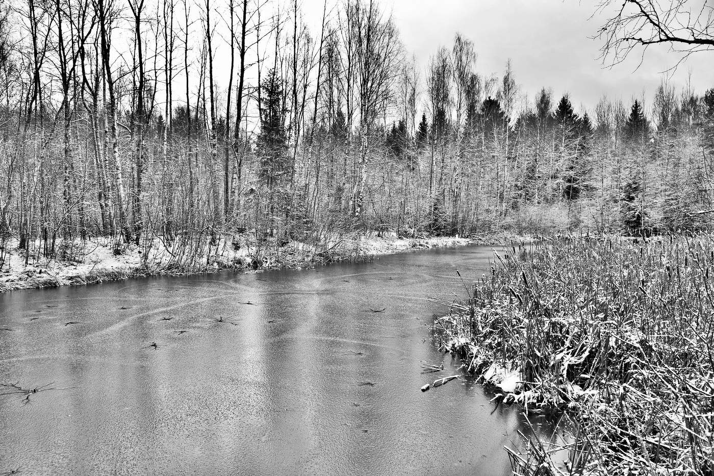 "Замерзает, тяжелеет в бездне тихого пруда ..."