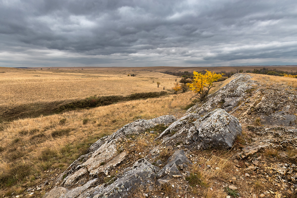 Рыжая степь