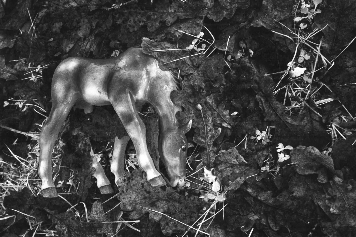 Жизнь вокруг