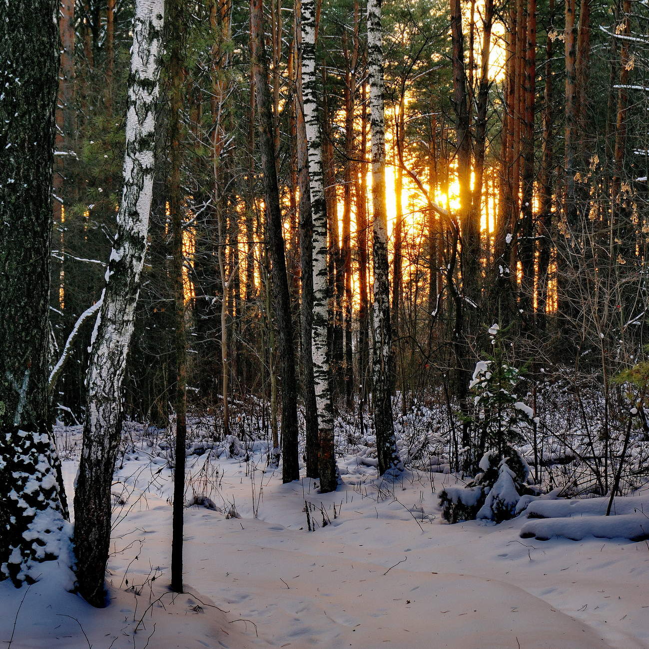 *Ноябрьский вечер.**