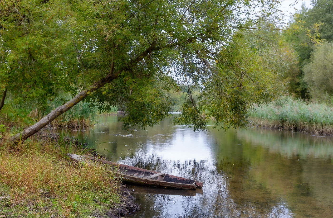 СОННАЯ ТИШЬ