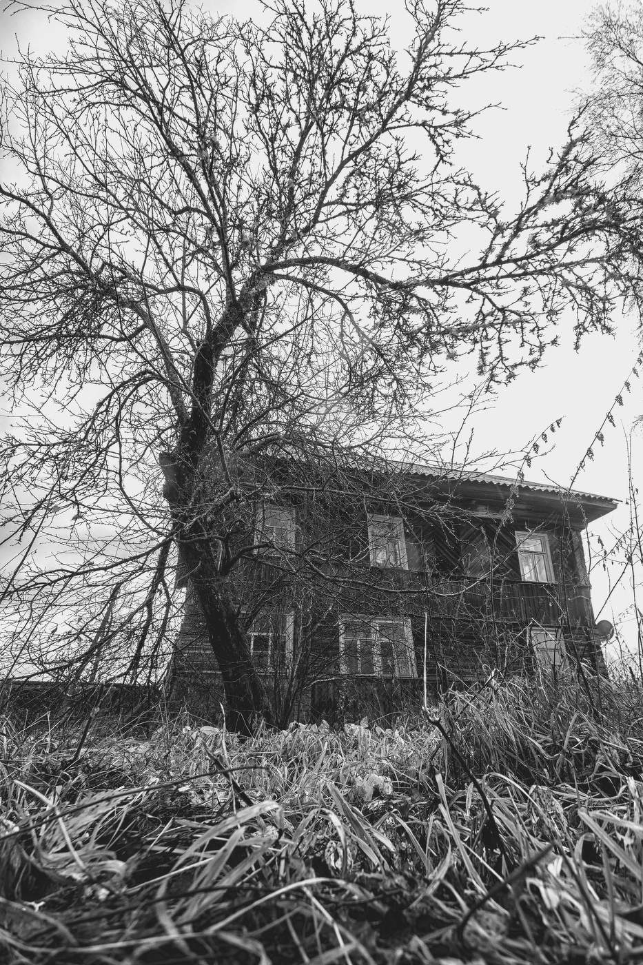 Жизнь вокруг