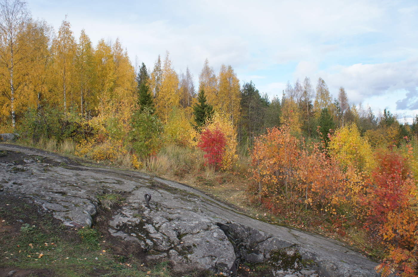 Покатила осень под гору...