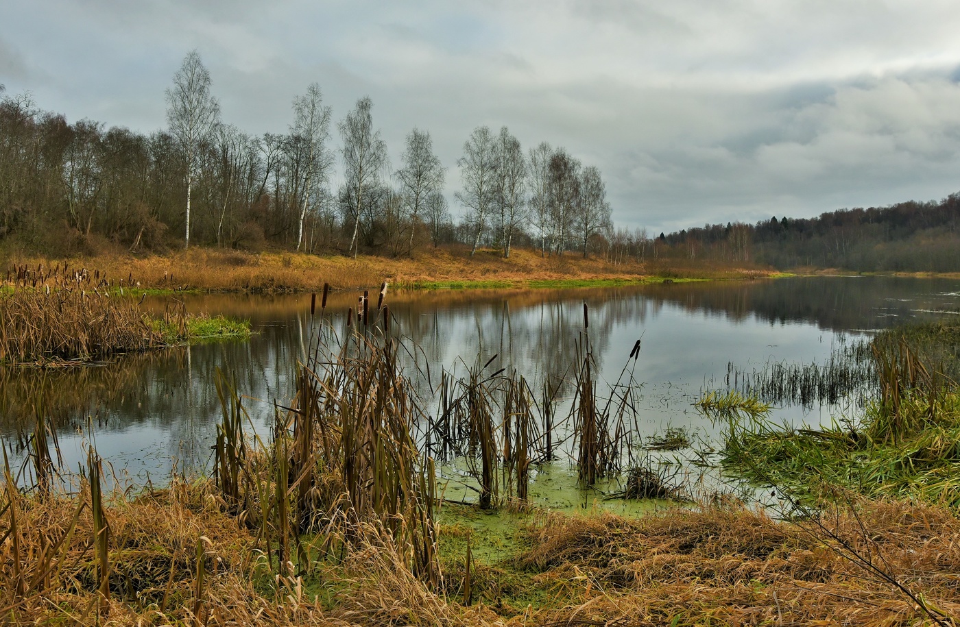 "Ноябрь дымится холодком по темным и усталым рекам ..."