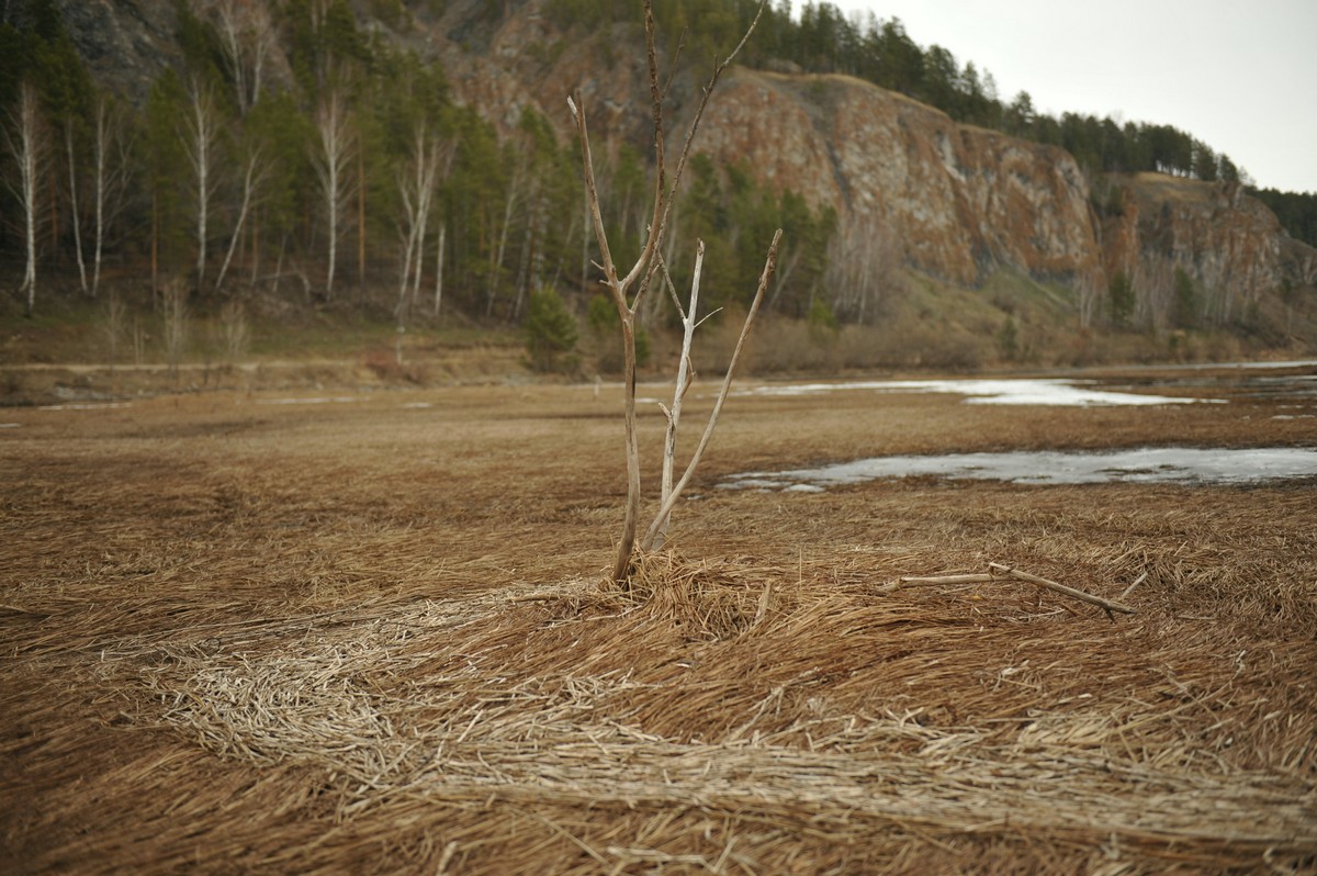 Весна закружила.