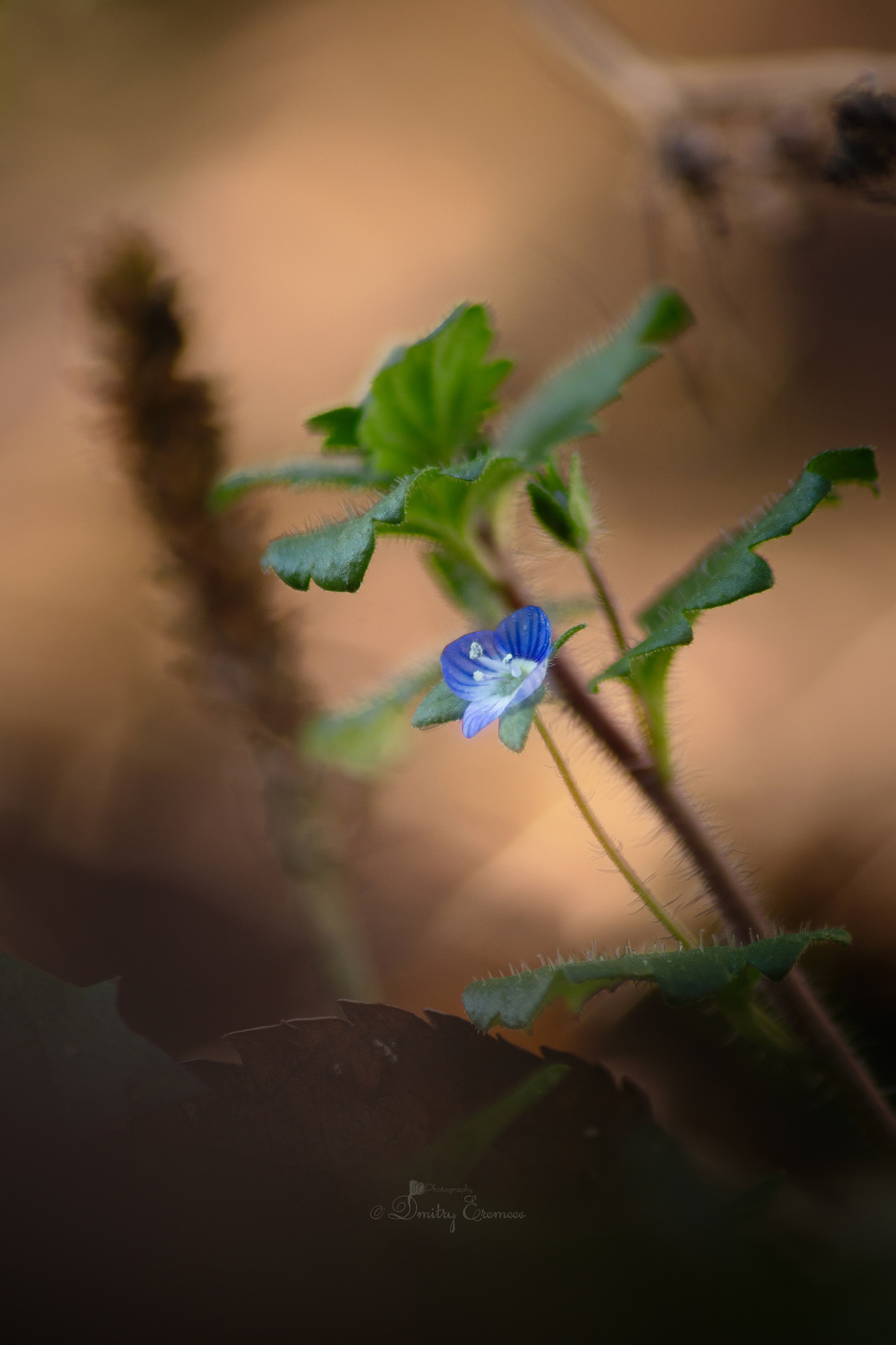 Ноябрьская...