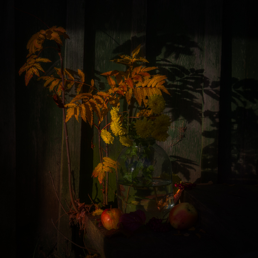 Осенняя фантазия