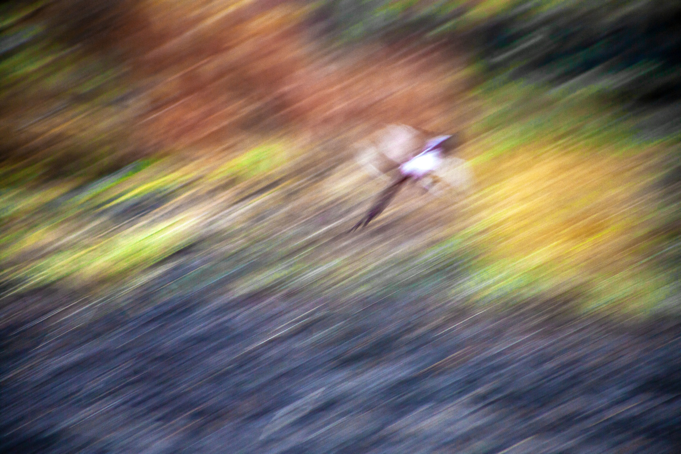 Жизнь вокруг