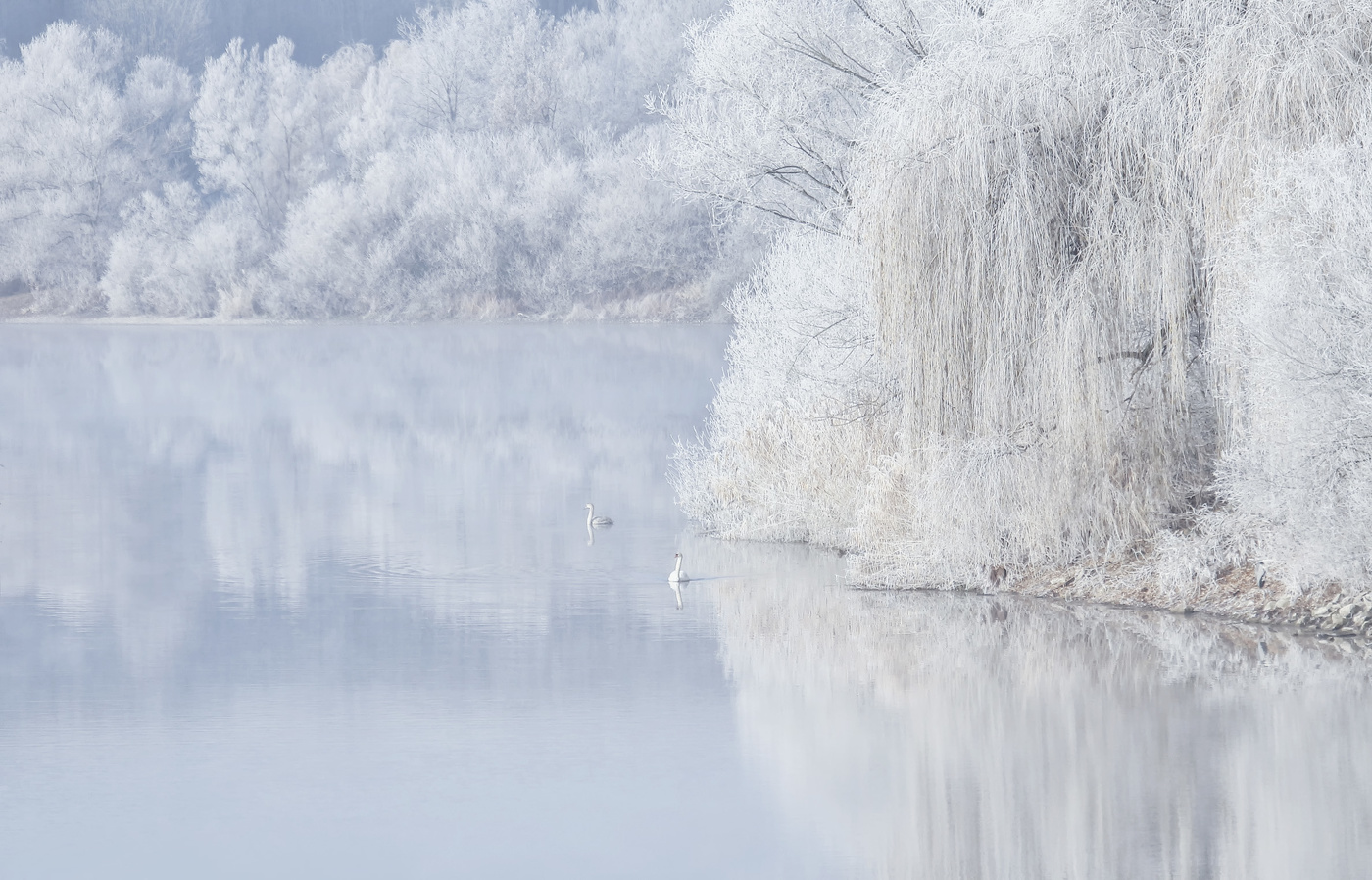 Лебединое озеро