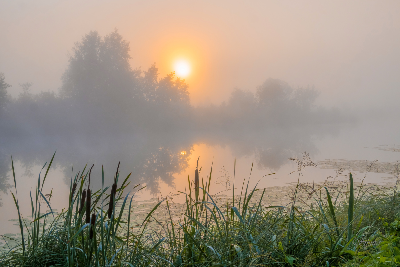 Затуманило.