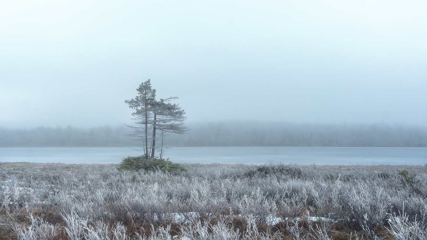 Любовь к жизни