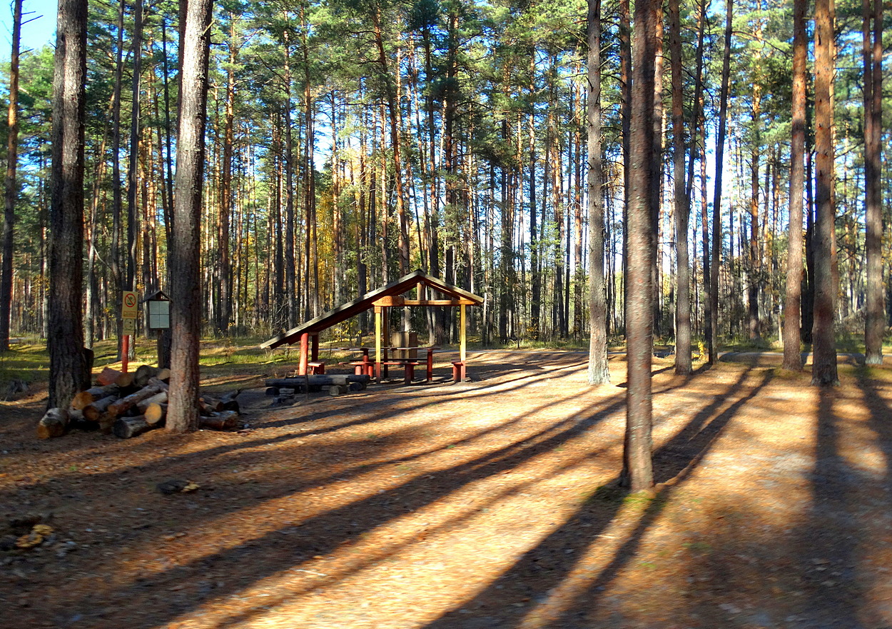 Вечерние тени