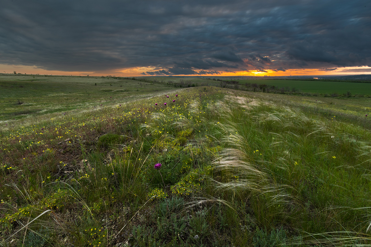 Вечер в мае