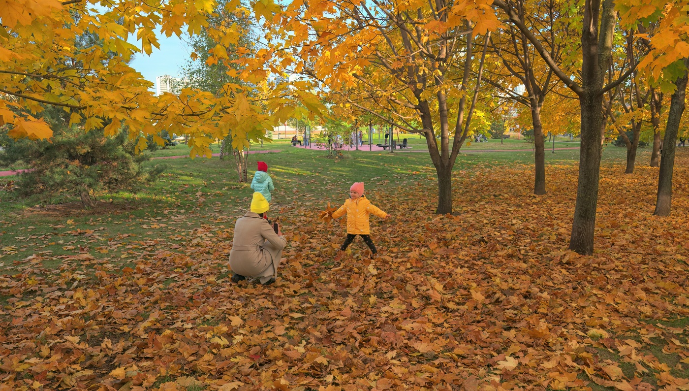 Краски октября